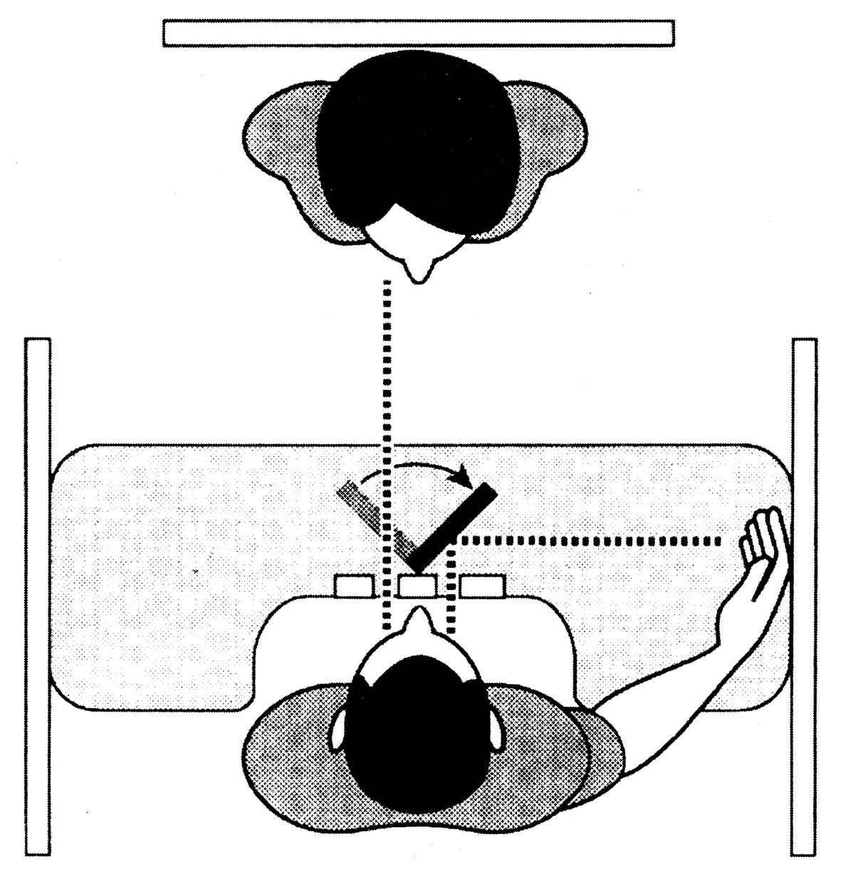 3 - 图2