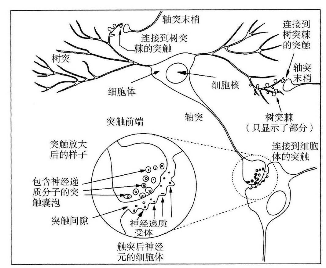 第2章 意识、身体和脑 - 图2