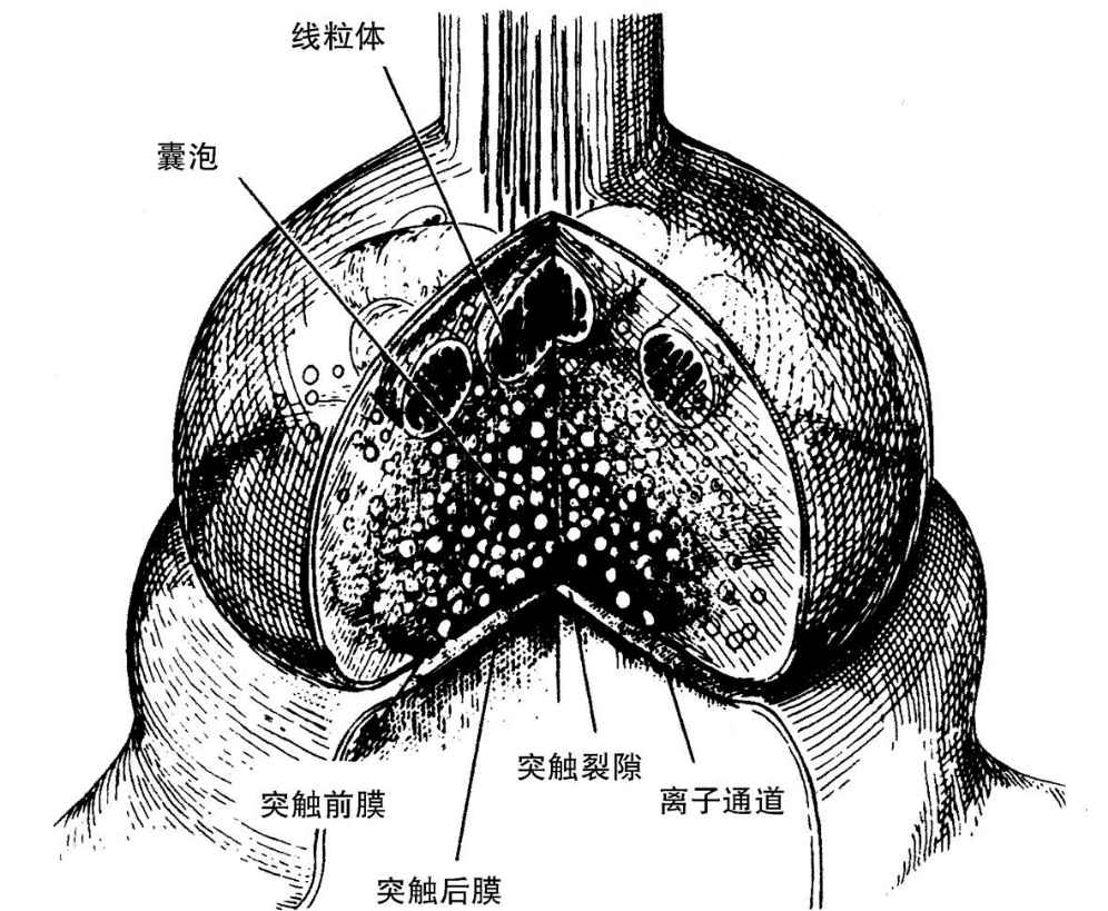 2 - 图10