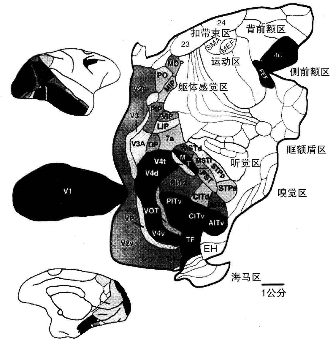 2 - 图26