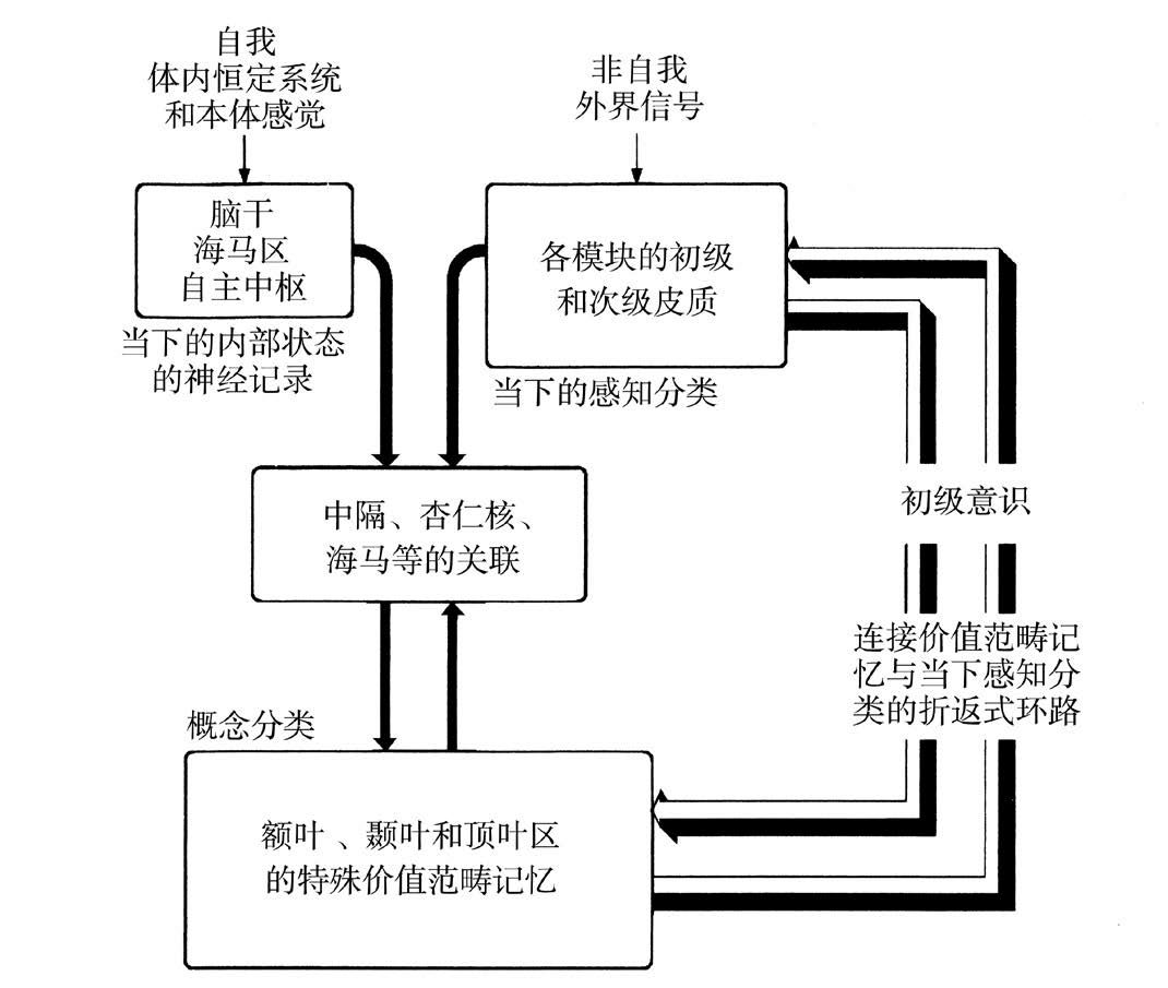 第5章 意识的机制 - 图1