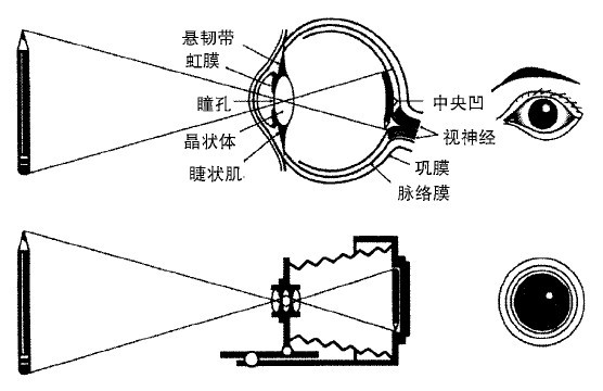 2 - 图16