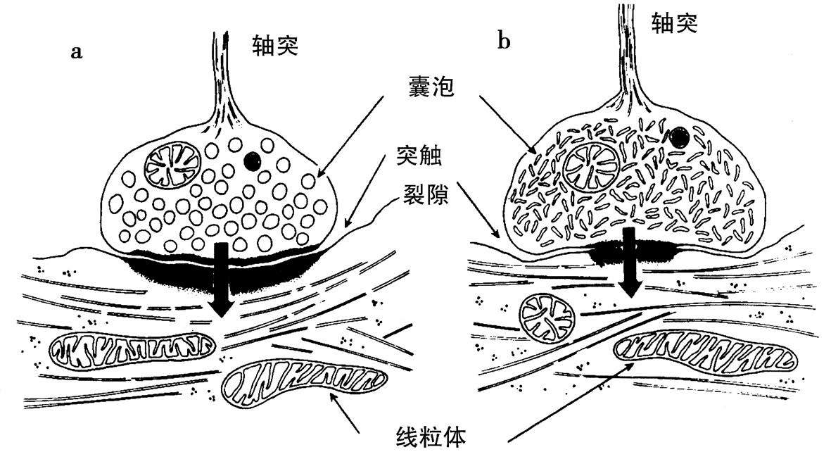 2 - 图11
