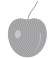 01 - 图15