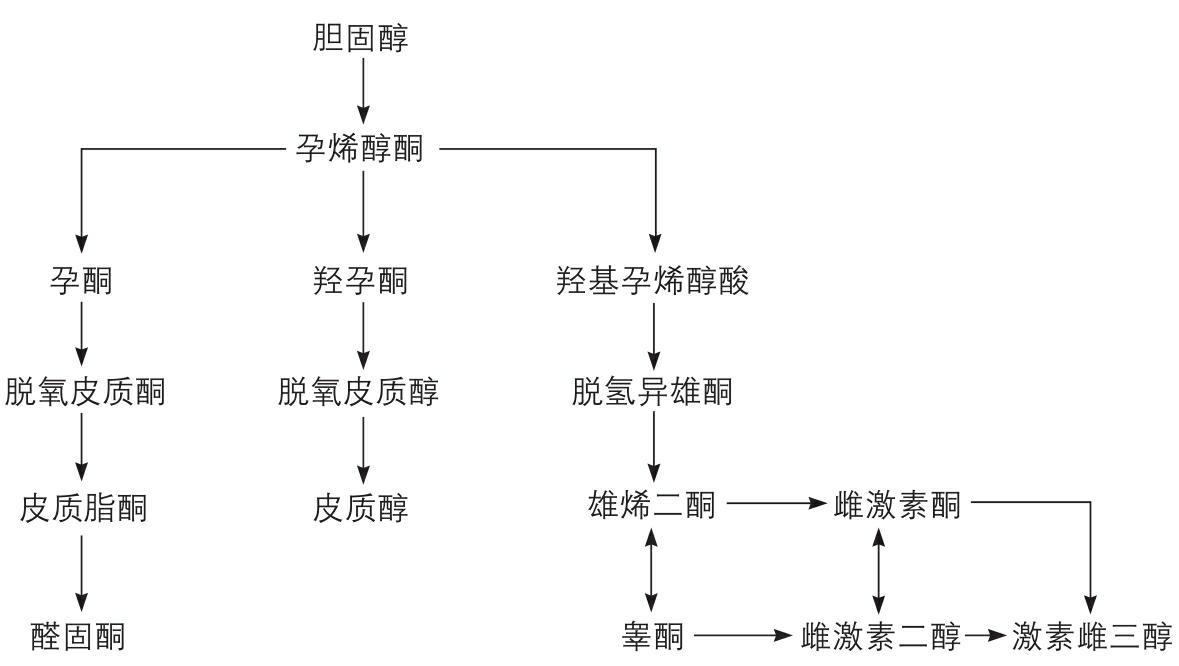 02 - 图10