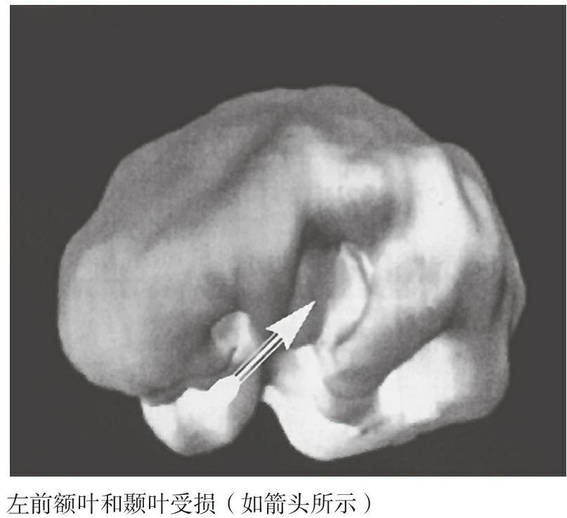 02 - 图20