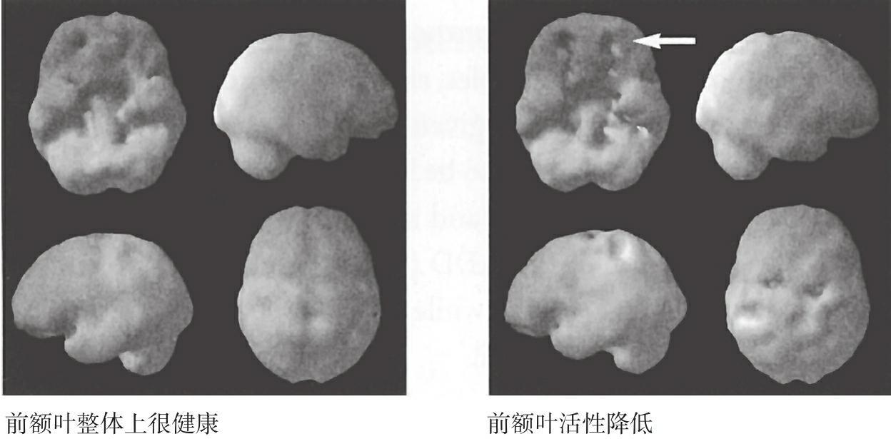 02 - 图24