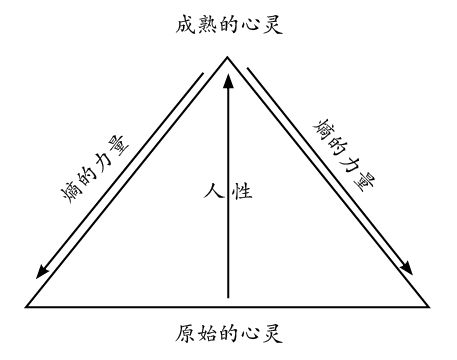 进化的奇迹 - 图2