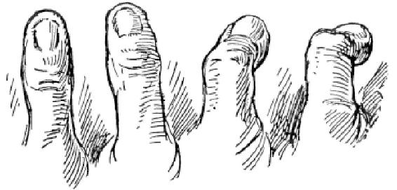 Chapter 4 画手 - 图2