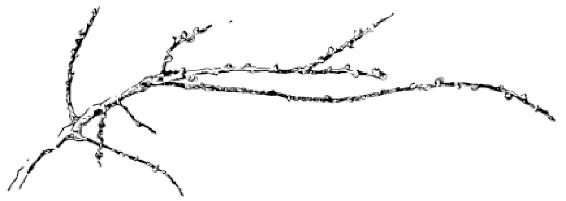 Chapter 12 户外素描 - 图14