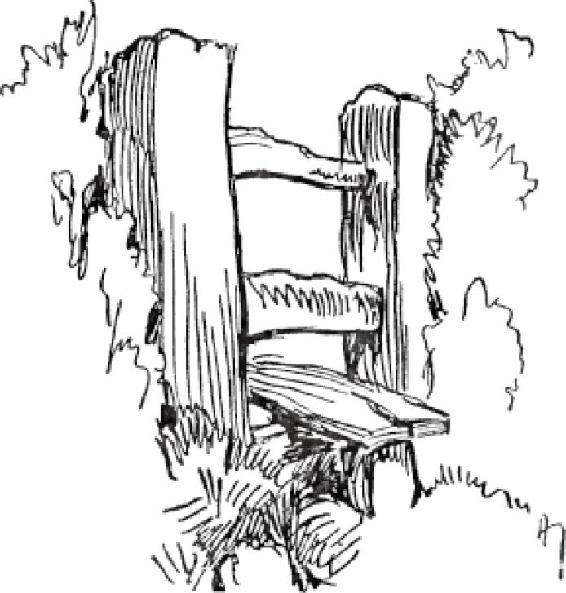 Chapter 12 户外素描 - 图8