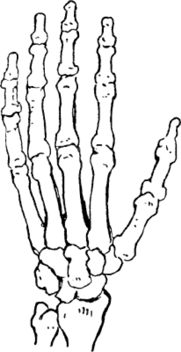 Chapter 4 画手 - 图4