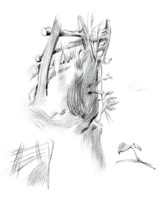 Chapter 12 户外素描 - 图9