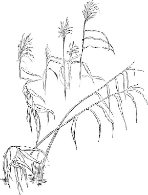 Chapter 12 户外素描 - 图6