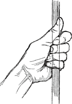 Chapter 4 画手 - 图1