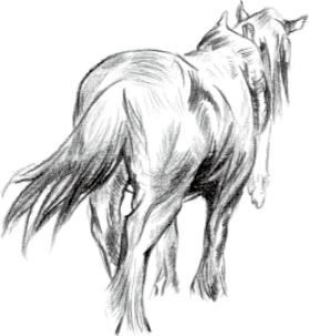 Chapter 16 修改画作 - 图1