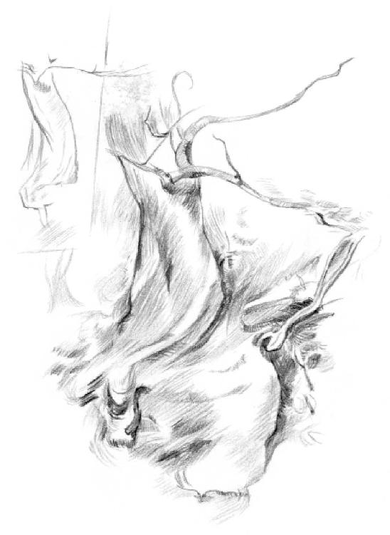 Chapter 12 户外素描 - 图10