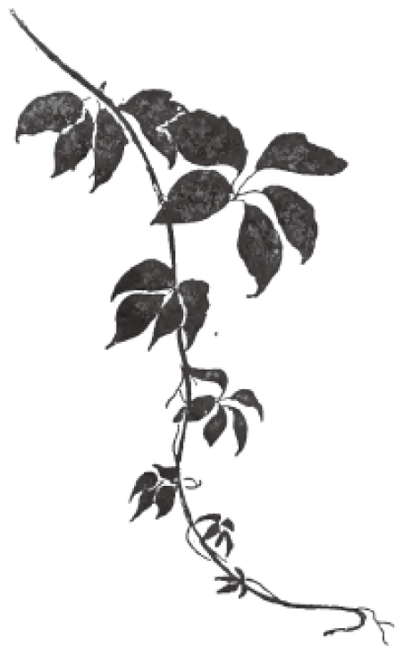 Chapter 13 怎样画肖像 - 图3