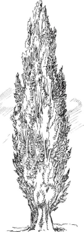 Chapter 12 户外素描 - 图12