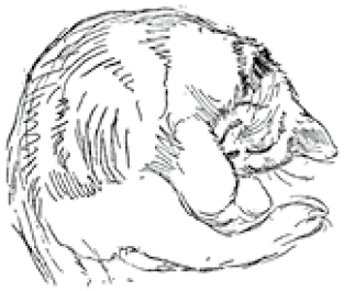 Chapter 9 画动物 - 图1