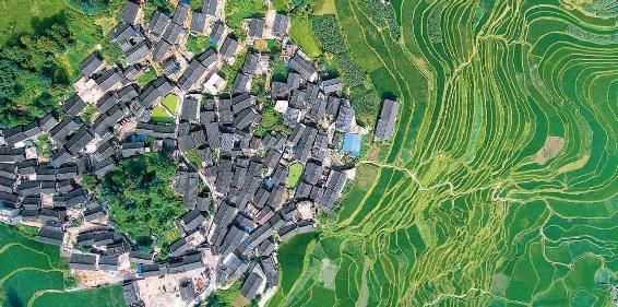 03 - 图10