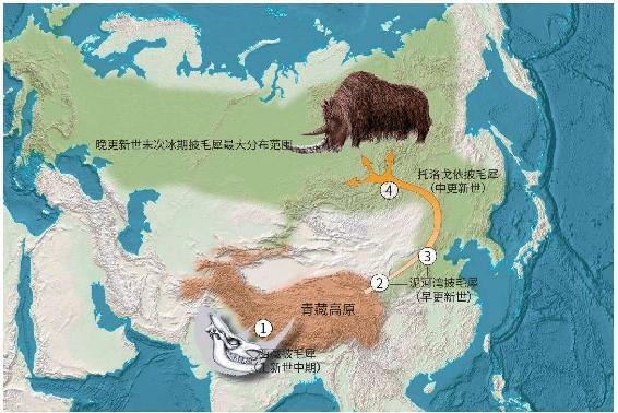 01 - 图27
