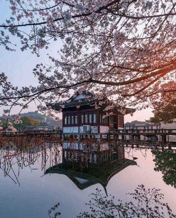 02 - 图181