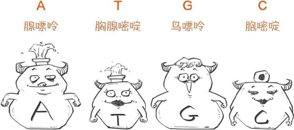 番外一、基因的发现，就像一出捉妖记! - 图50