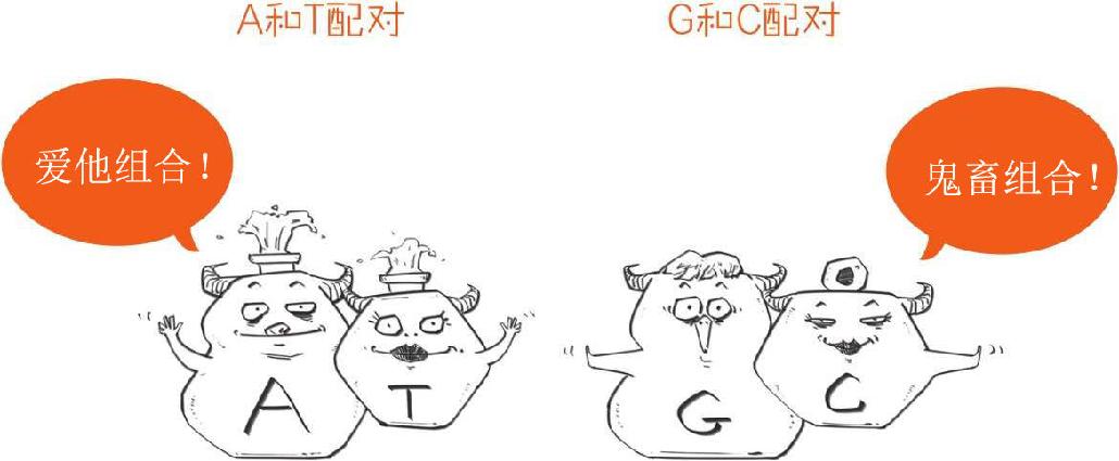 番外一、基因的发现，就像一出捉妖记! - 图55