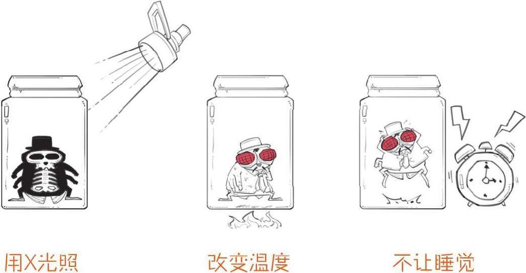 番外一、基因的发现，就像一出捉妖记! - 图33