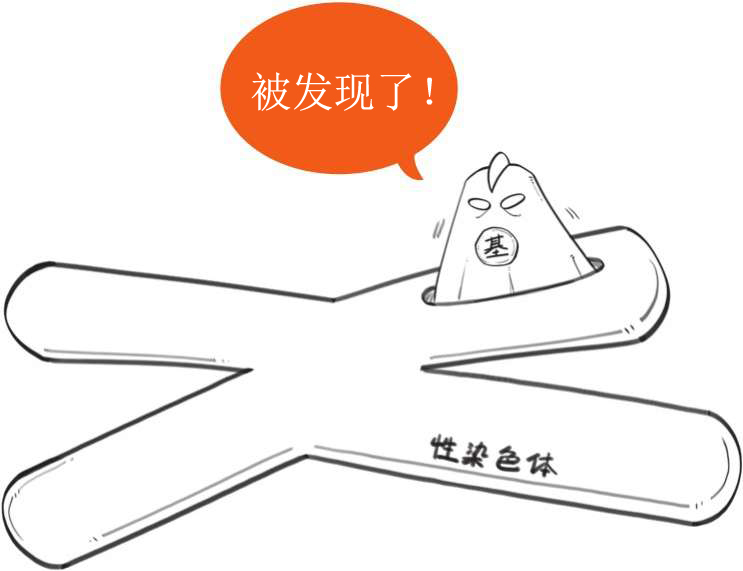 番外一、基因的发现，就像一出捉妖记! - 图43
