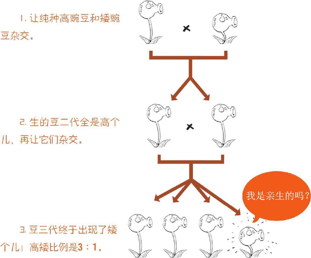 番外一、基因的发现，就像一出捉妖记! - 图14