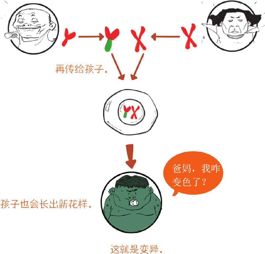 番外一、基因的发现，就像一出捉妖记! - 图68