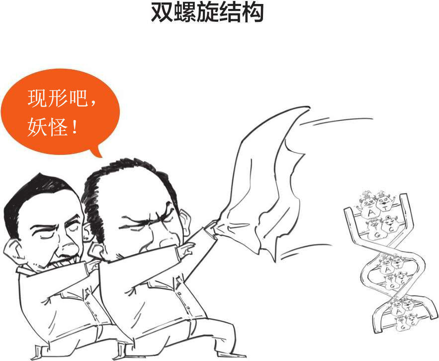 番外一、基因的发现，就像一出捉妖记! - 图56