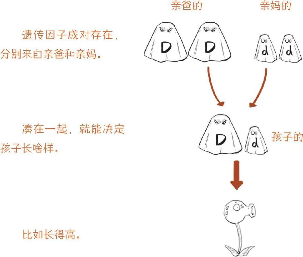 番外一、基因的发现，就像一出捉妖记! - 图17