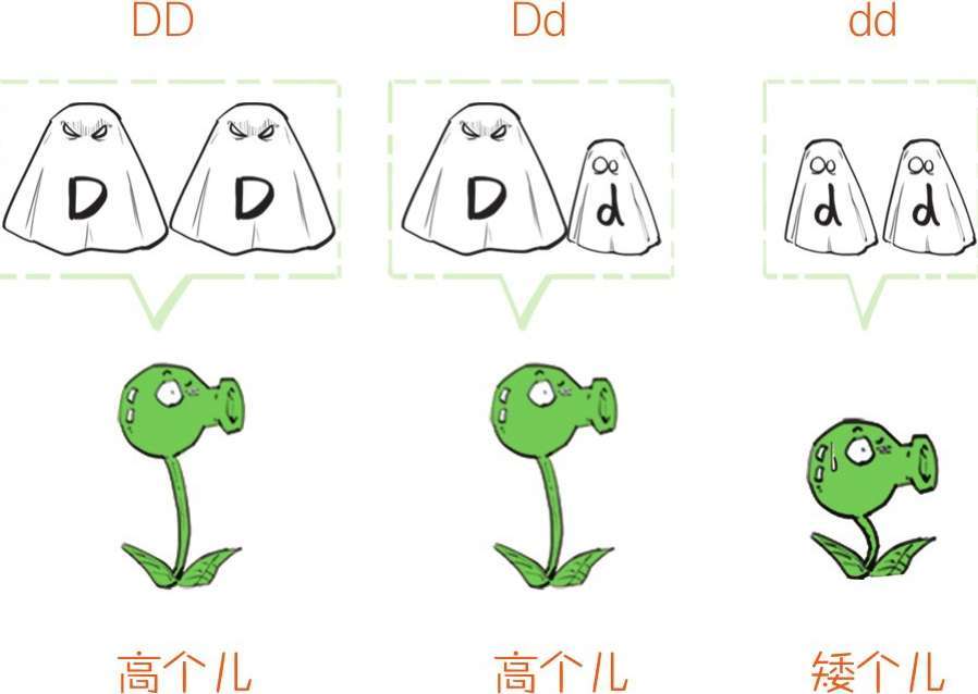 番外一、基因的发现，就像一出捉妖记! - 图19