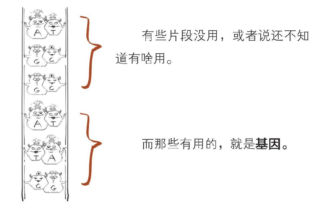 番外一、基因的发现，就像一出捉妖记! - 图59