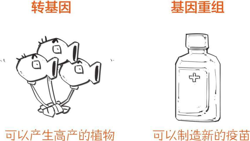 番外一、基因的发现，就像一出捉妖记! - 图69