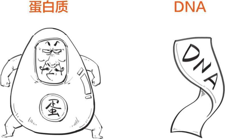 番外一、基因的发现，就像一出捉妖记! - 图47
