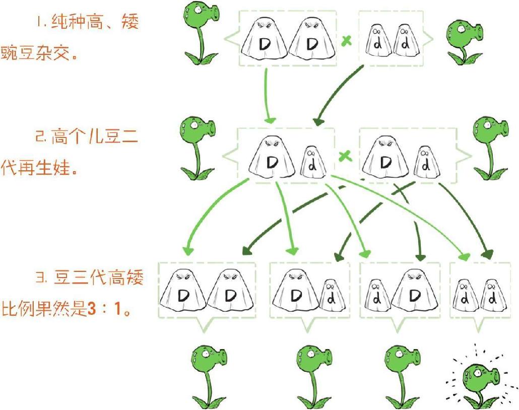 番外一、基因的发现，就像一出捉妖记! - 图20