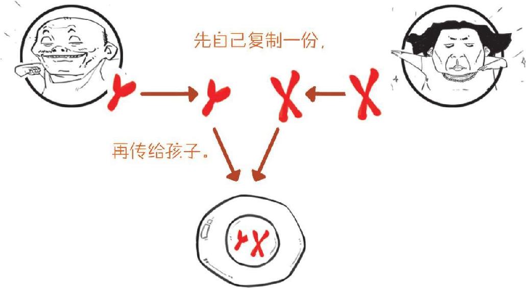 番外一、基因的发现，就像一出捉妖记! - 图67