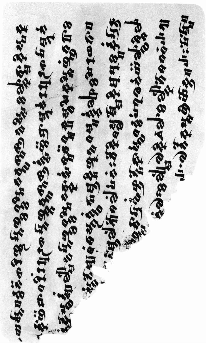 PLATES - 图28
