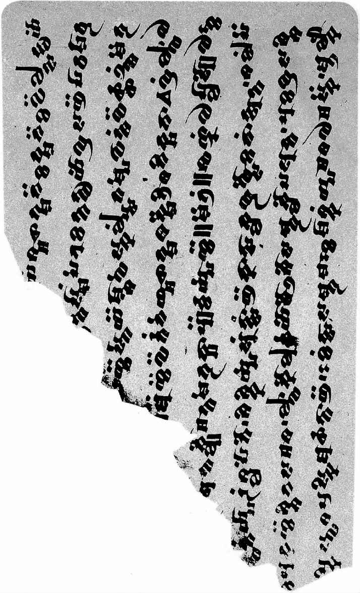 PLATES - 图33