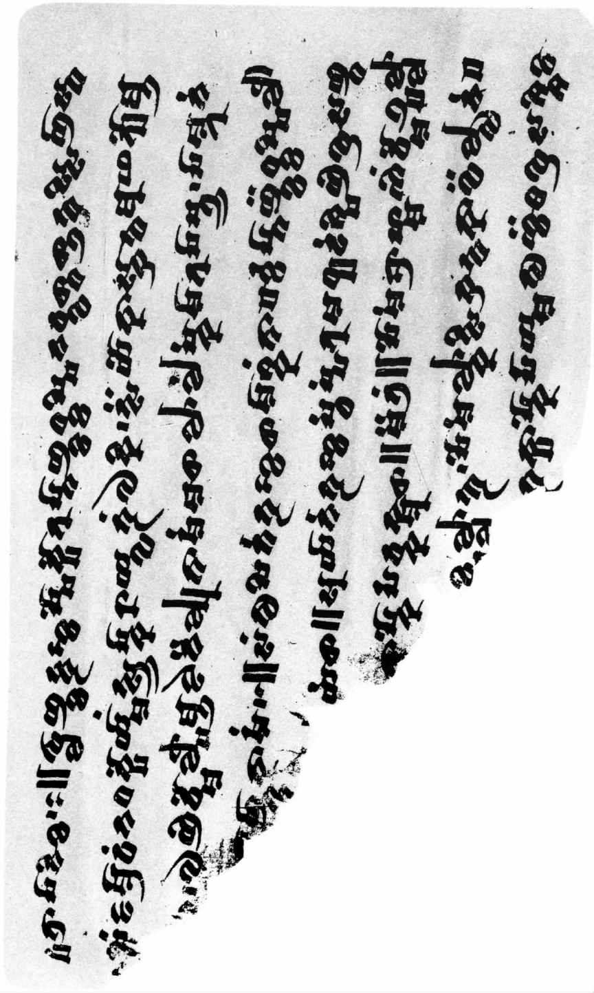 PLATES - 图36