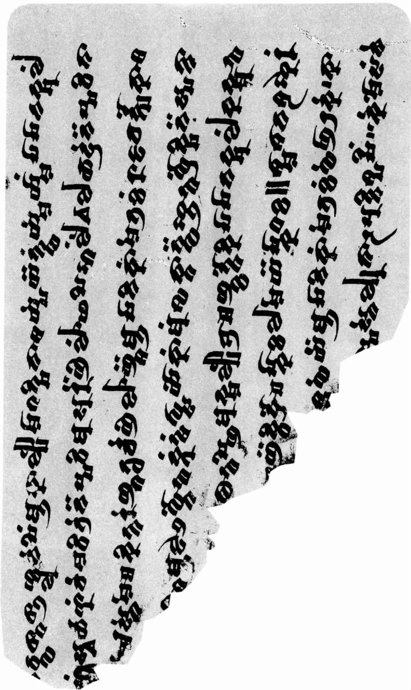 PLATES - 图38