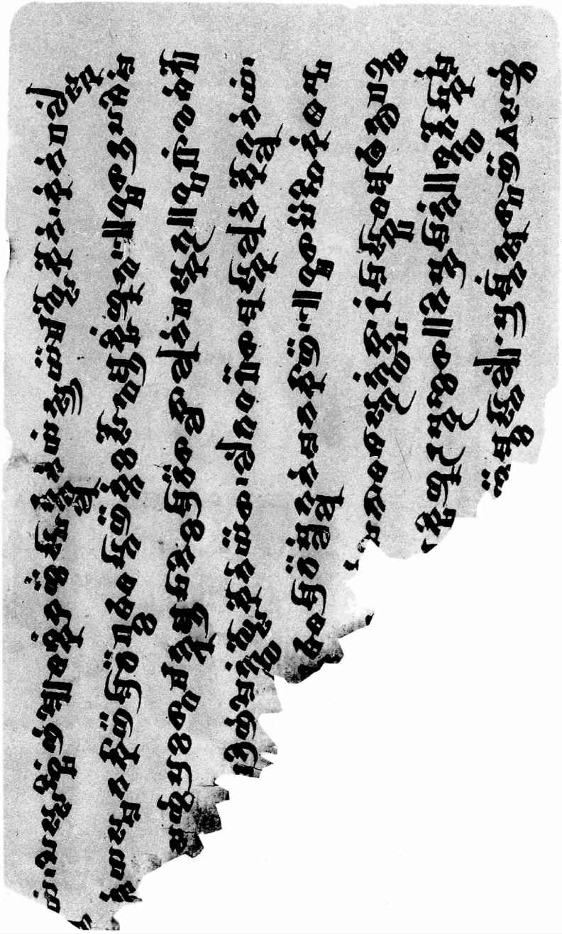 PLATES - 图42