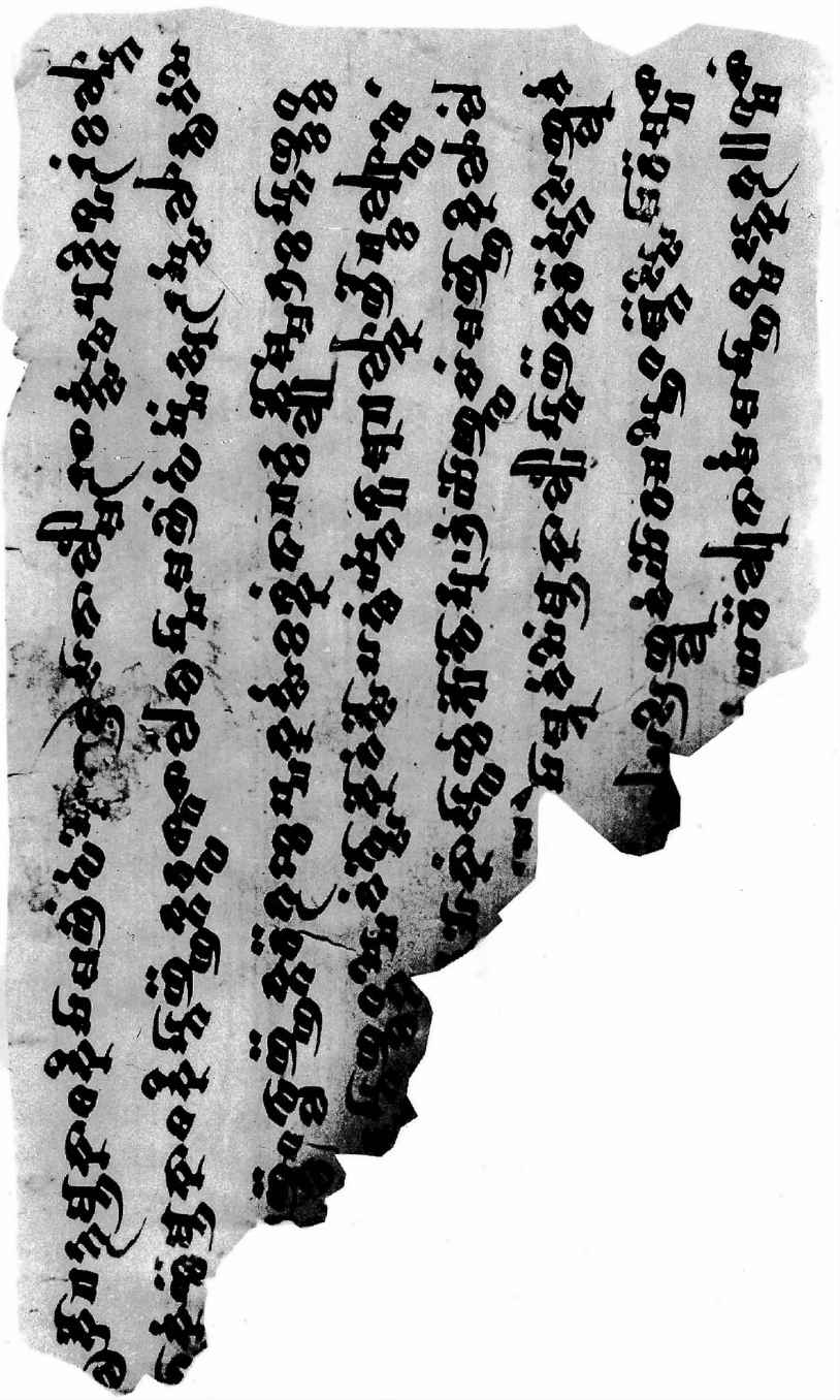 PLATES - 图46