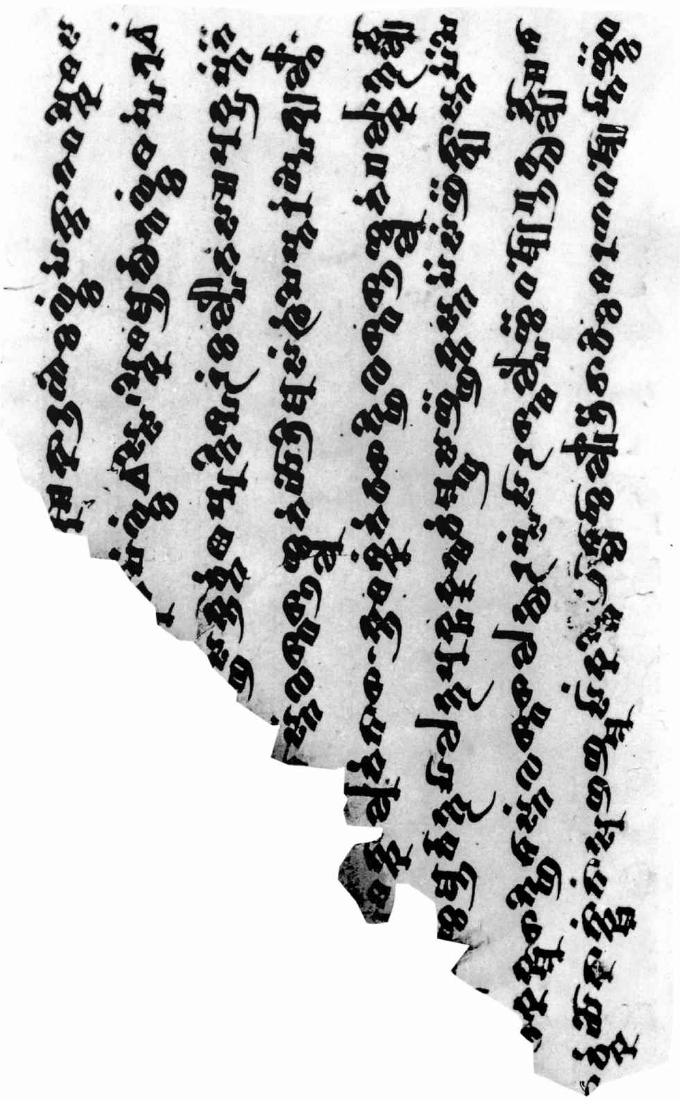 PLATES - 图47