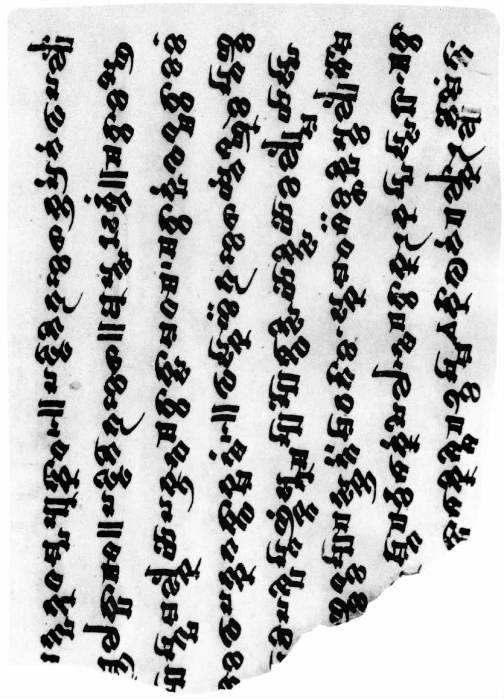 PLATES - 图52