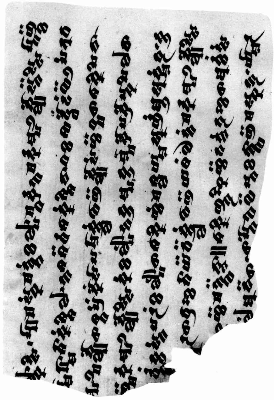PLATES - 图54